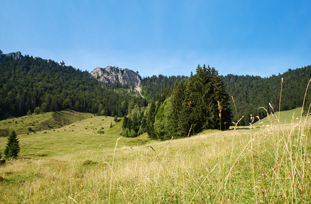 Wandergebiet Pfaffenschwendt Buchensteinwand
